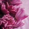 Artistic Portrait Photography - Image 6